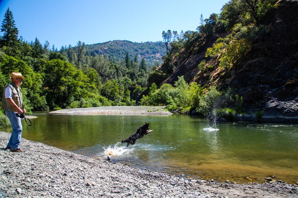 קלוברדייל Russian River Camping Resort Cottage 7 מראה חיצוני תמונה